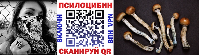 Псилоцибиновые грибы Psilocybine cubensis Нижнекамск