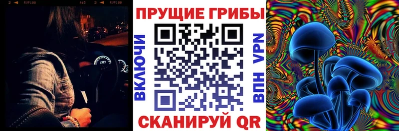 OMG сайт Нижнекамск Галлюциногенные грибы мухоморы