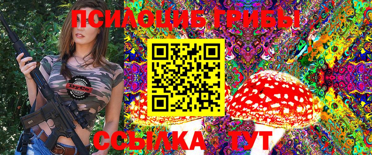 Псилоцибиновые грибы Psilocybine cubensis Нижнекамск